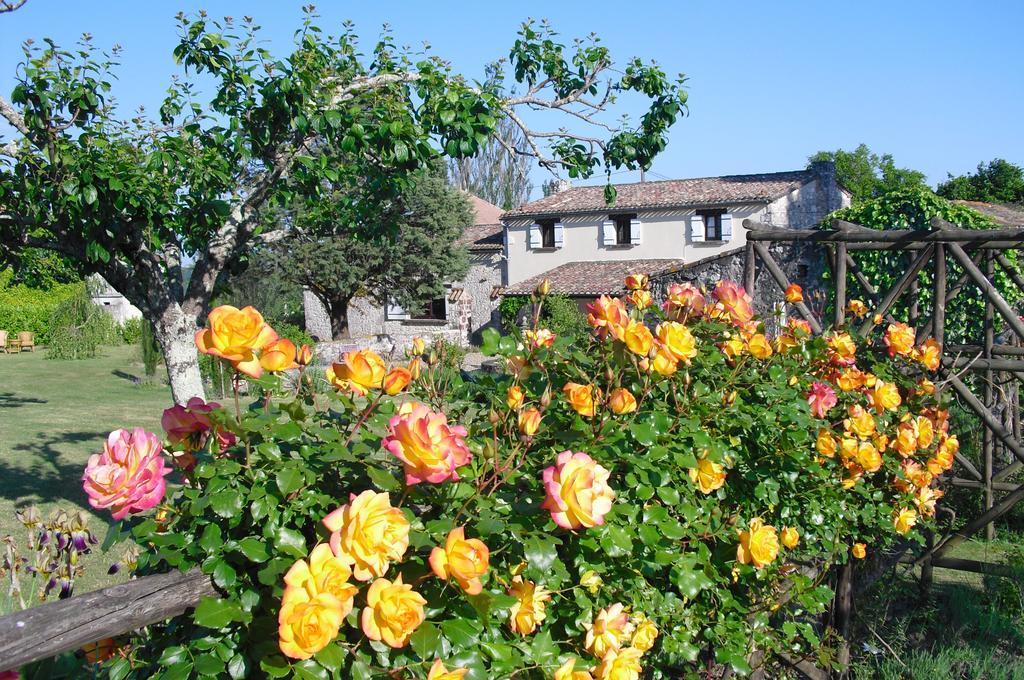 Luxury B&B Maison A Votre Sante, In Bordeaux Wine Region Savignac-de-Duras Ngoại thất bức ảnh